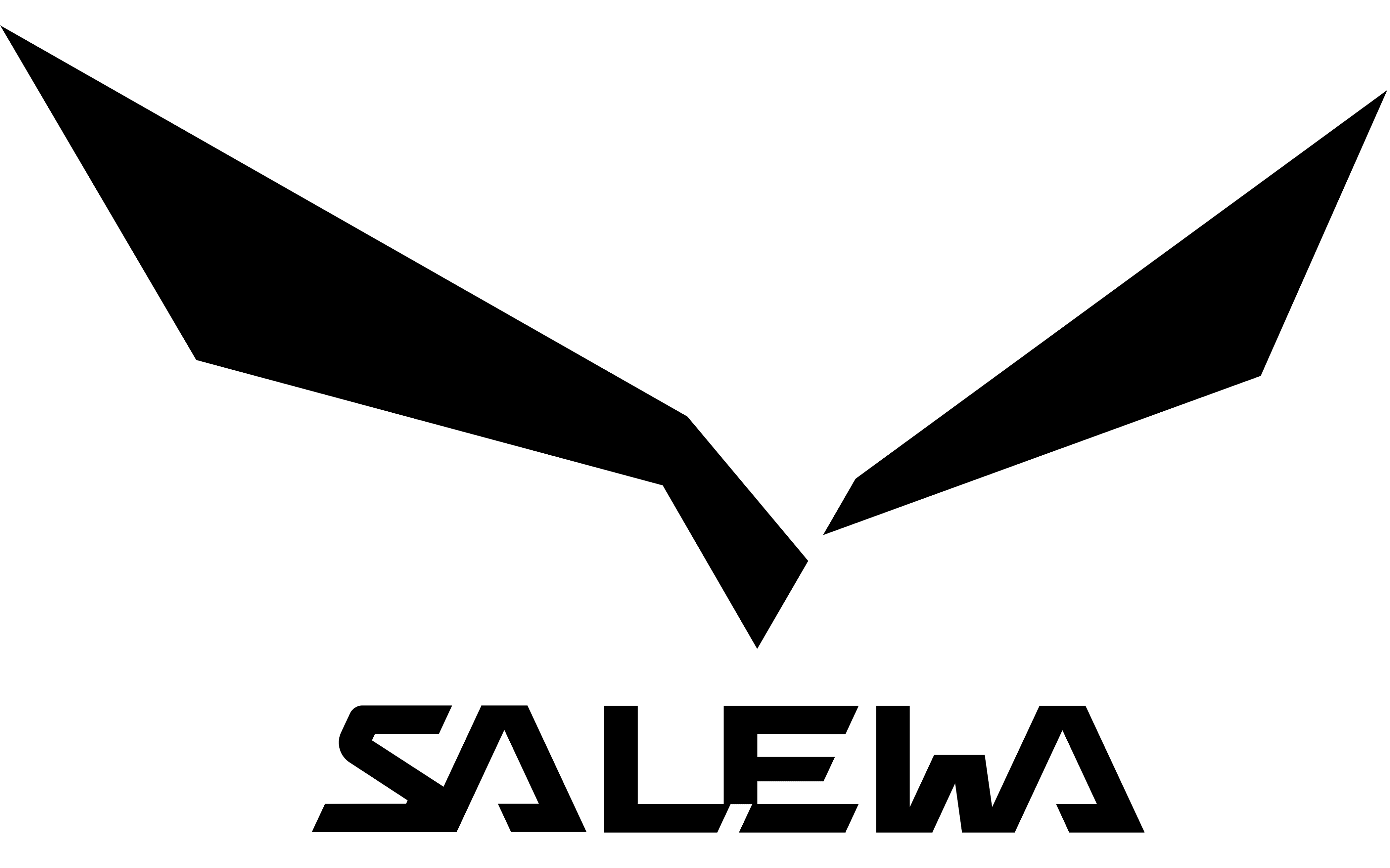 SALEWA